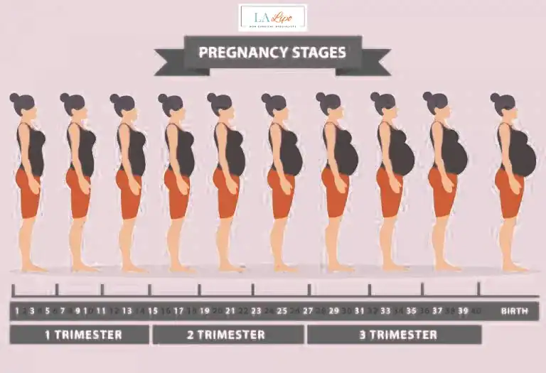 First Trimester (Weeks 1–12): Early Changes You Might Not Notice Guildford